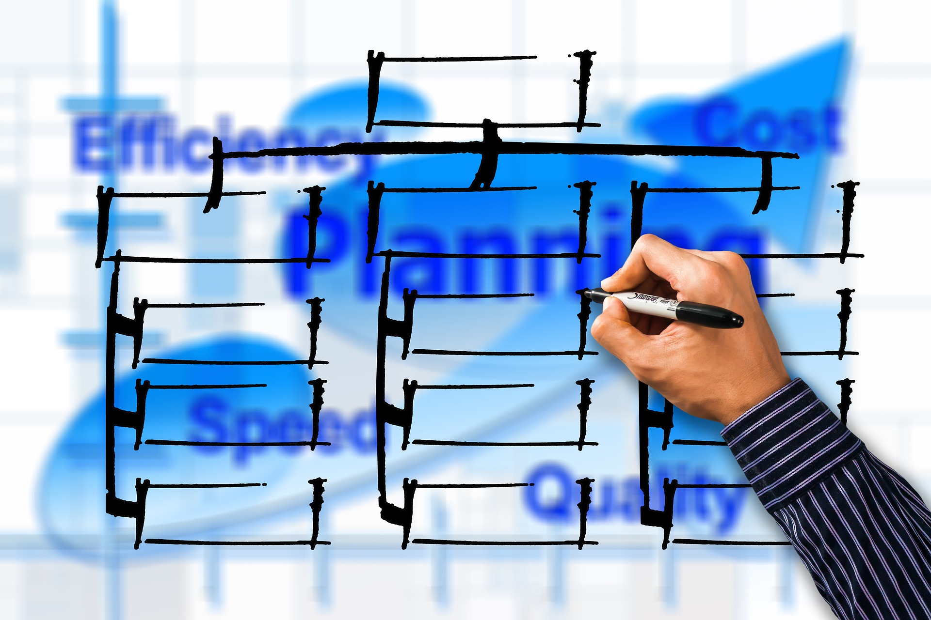 Hand drawing an organization chart with planning, efficiency and quality labels