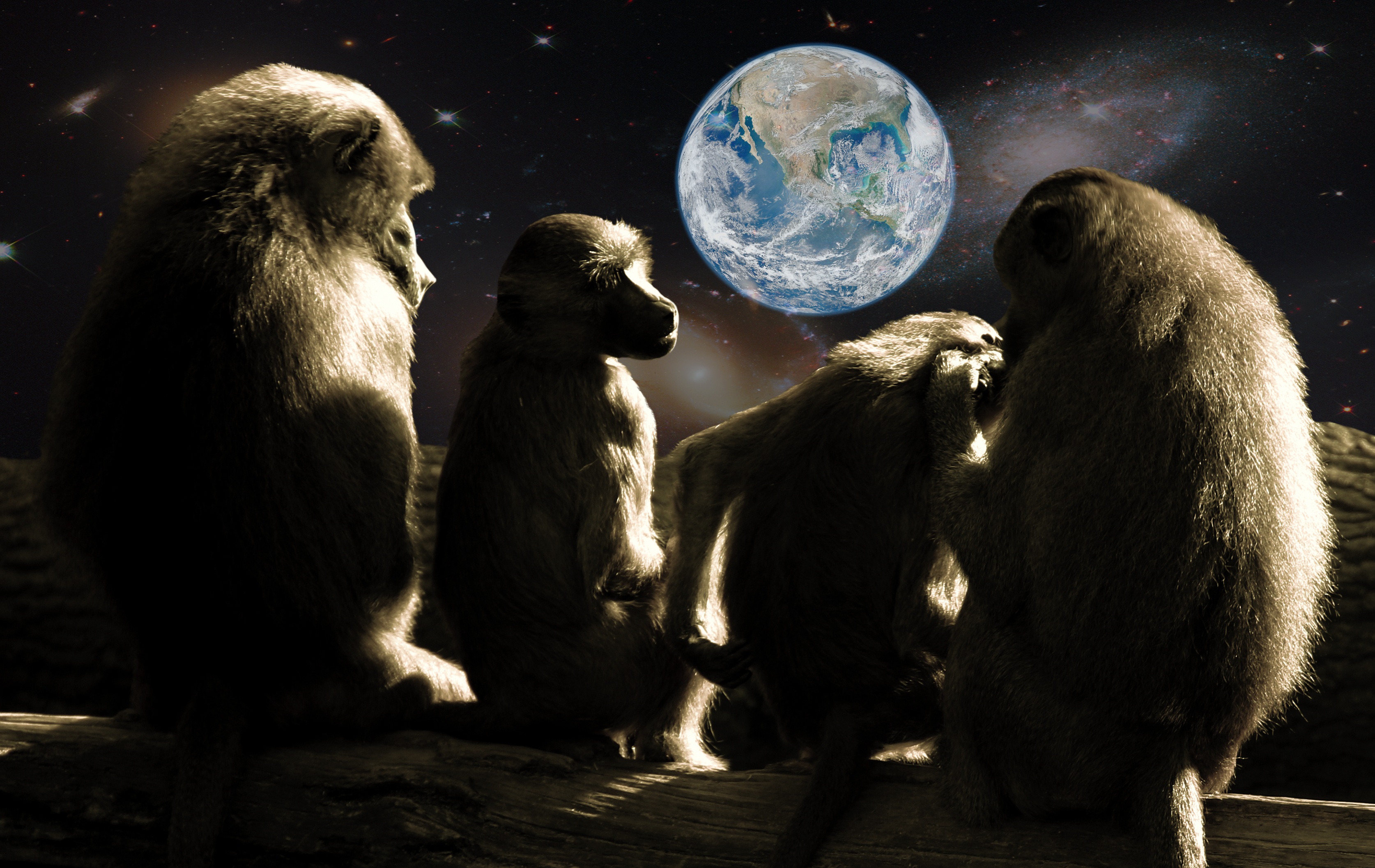 Apes gazing at the Earth from the Moon