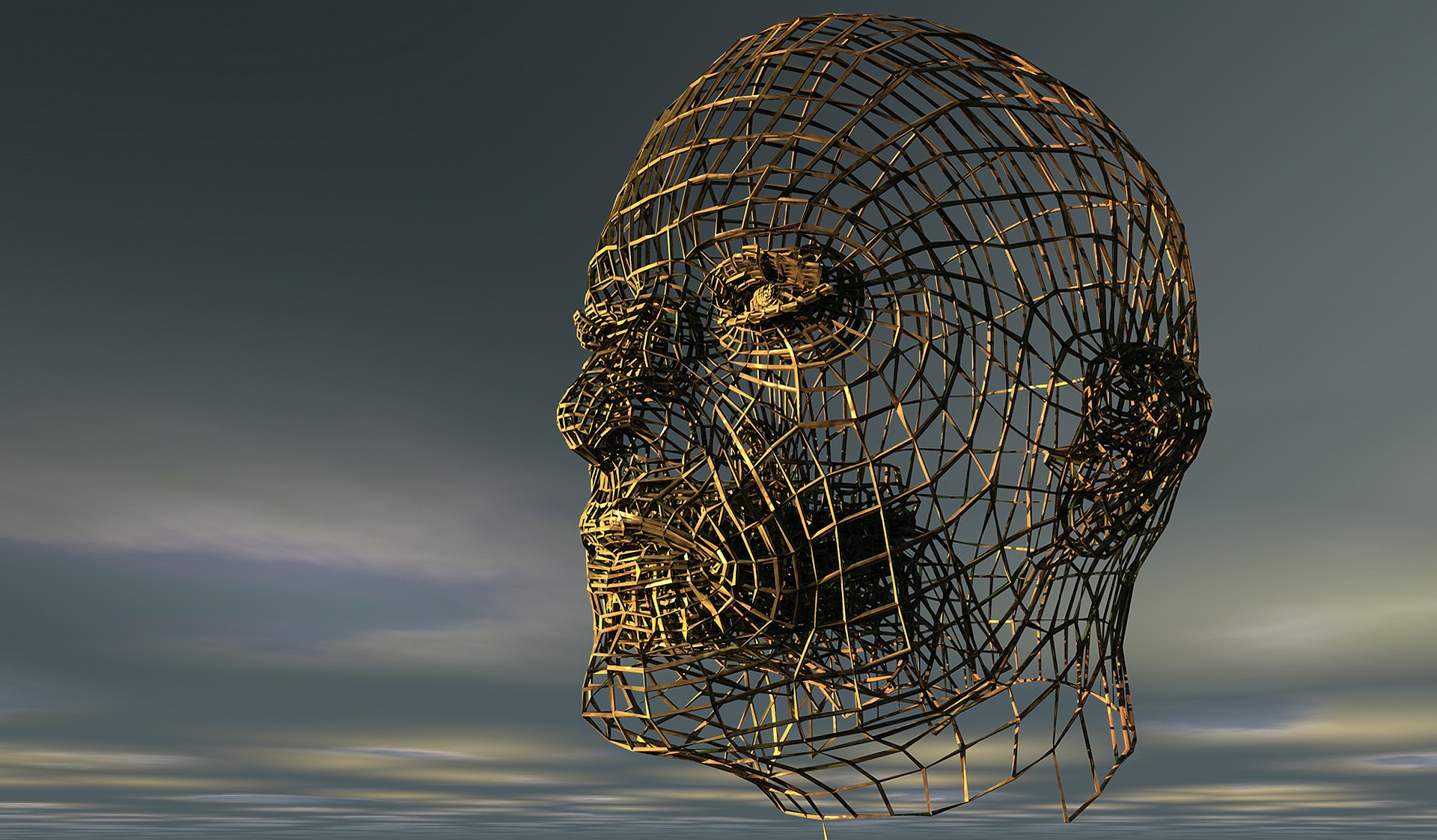 Wireframe sculpture of a human head