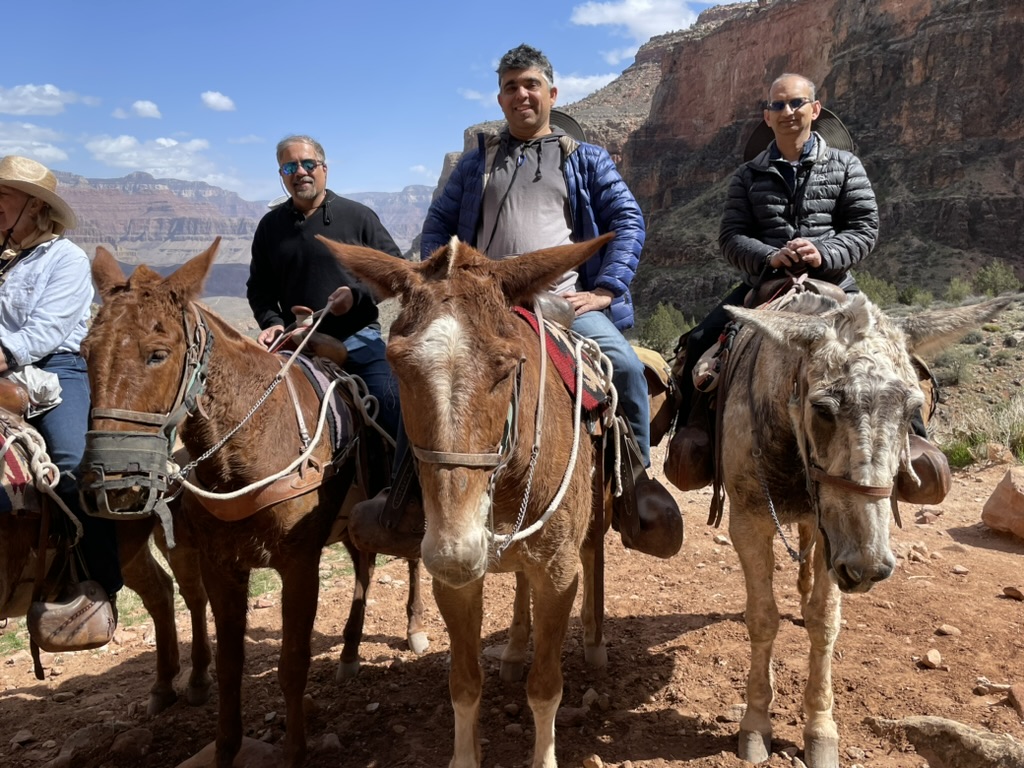Riders on mules at the Grand Canyon