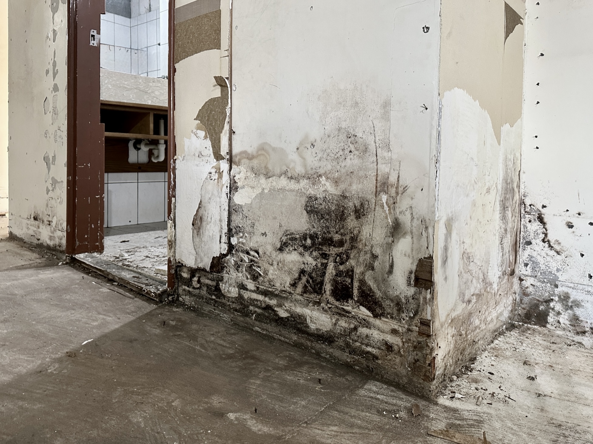 北投老屋翻新拆除後發現牆面壁癌與滲水問題