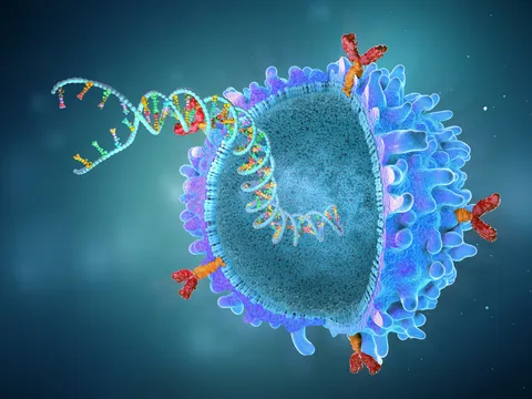 The 8R-70 CAR design uniquely combines CD70 targeting with an IL-8 receptor to enhance tumor homing, persistence, and memory recall of CAR T cells within the tumor microenvironment, overcoming the greatest barriers to CAR T success in solid tumors.