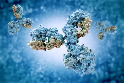 The humanized LAIR1 antibody blocks LAIR1, a critical immune checkpoint expressed on tumor-associated myeloid cells, reprogramming the tumor microenvironment to restore immune function and enhance antitumor efficacy.