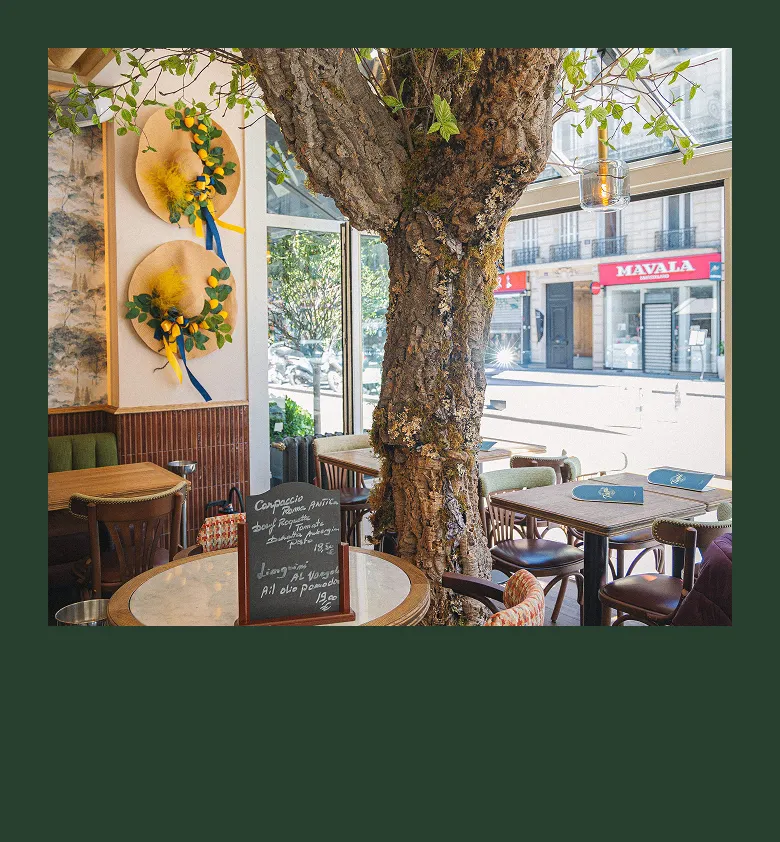 Table extérieure du restaurant Tivoli à l’ombre des arbres, avec verres à vin et décoration