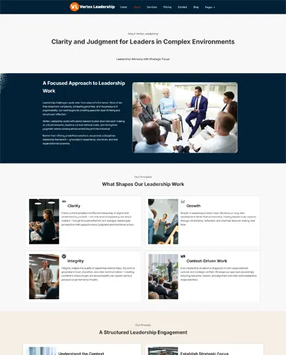 Vertex Leadership about page