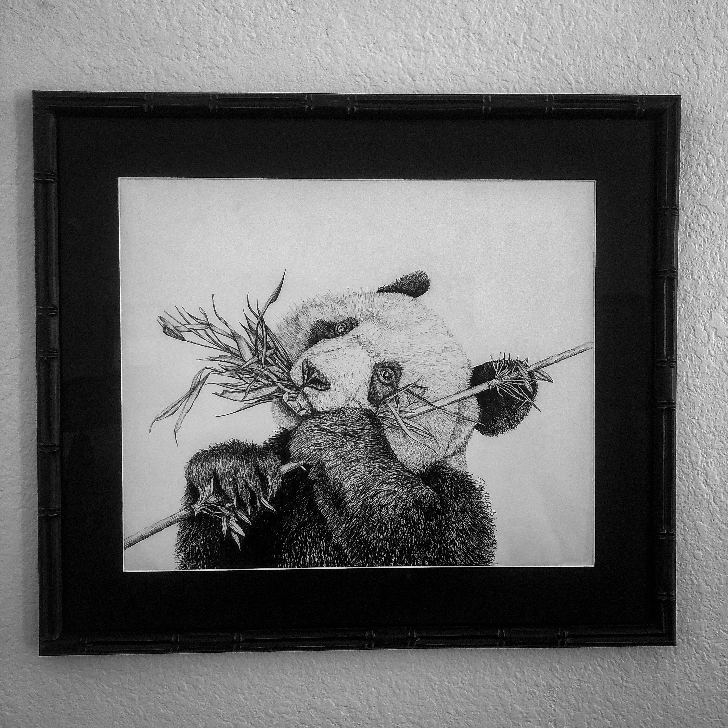 Portfolio Image