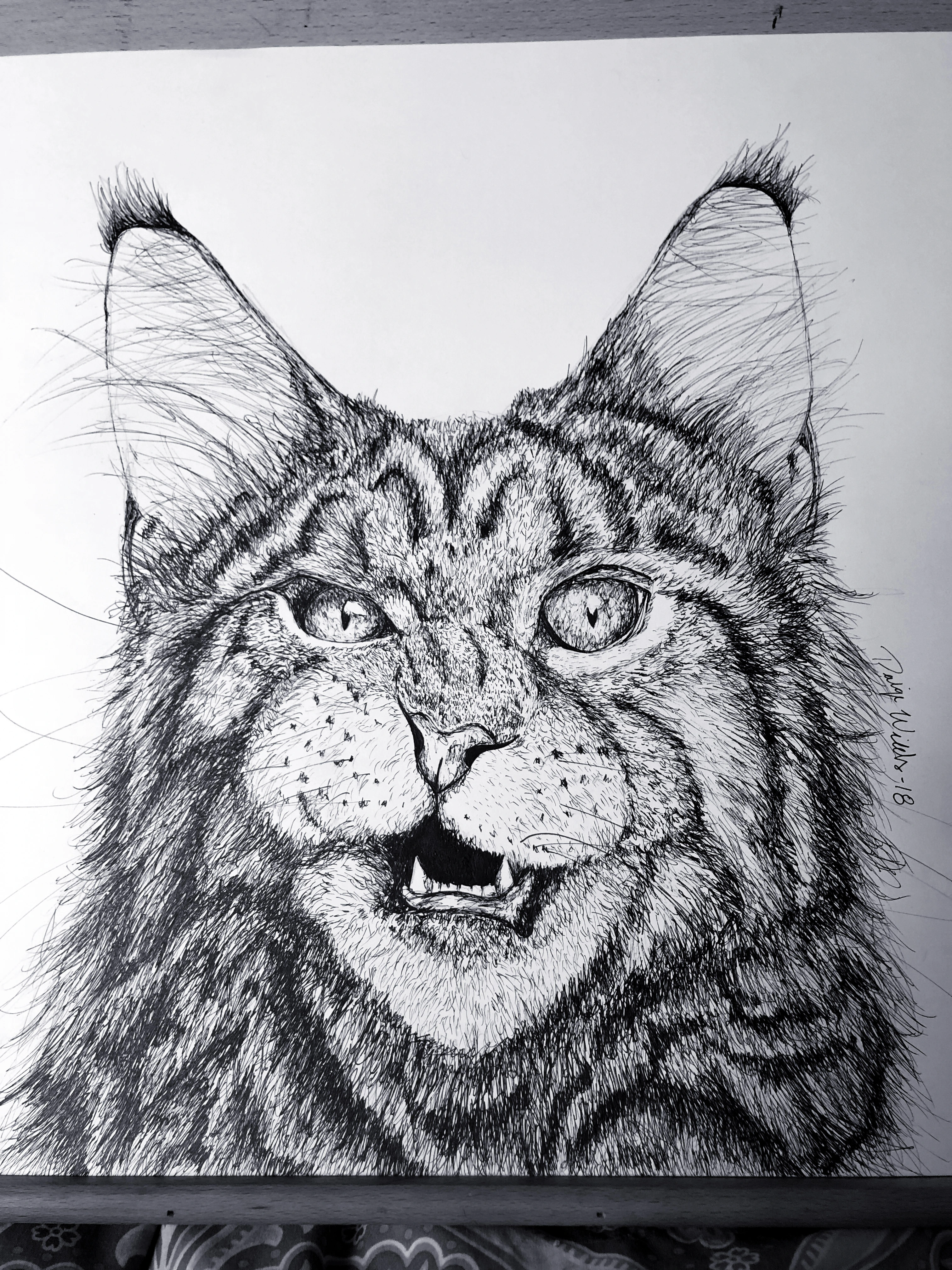 Portfolio Image