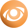 Orange orb icon