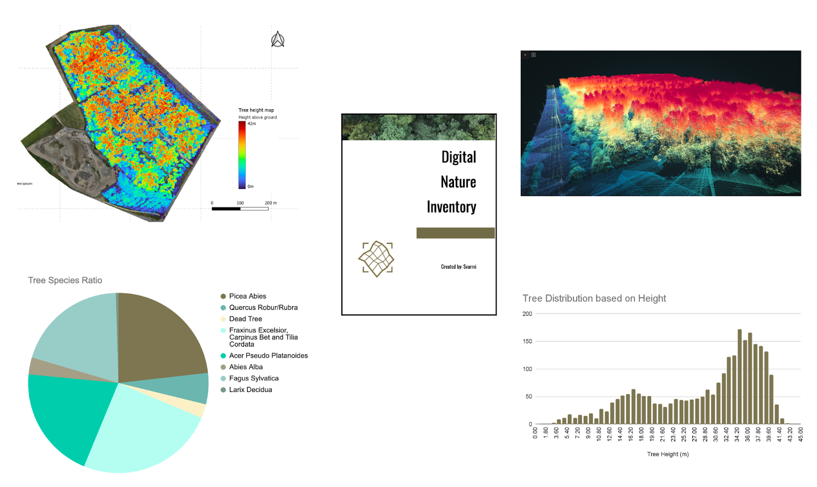 Eberhard Unternehmungen: Digitaler Waldzwilling für nachhaltige Planung