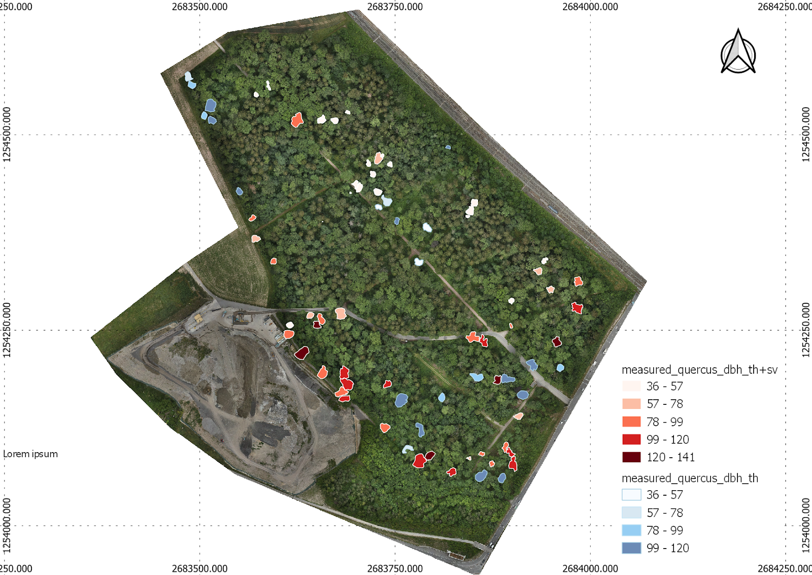 Eberhard Unternehmungen: Digitaler Waldzwilling für nachhaltige Planung