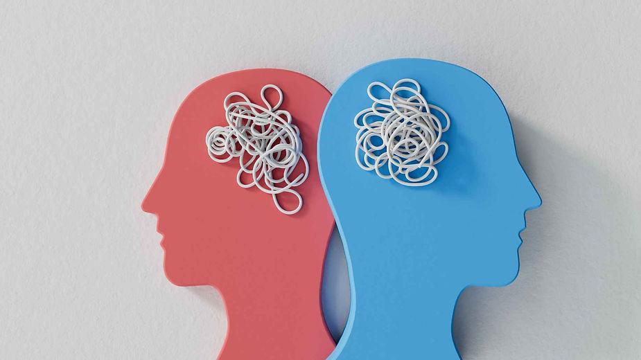 Science behind shared experiences