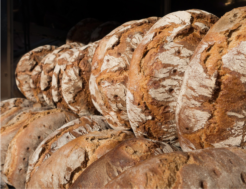 Focaccia's Quiet Dance