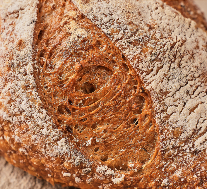 Sourdough Multigrain