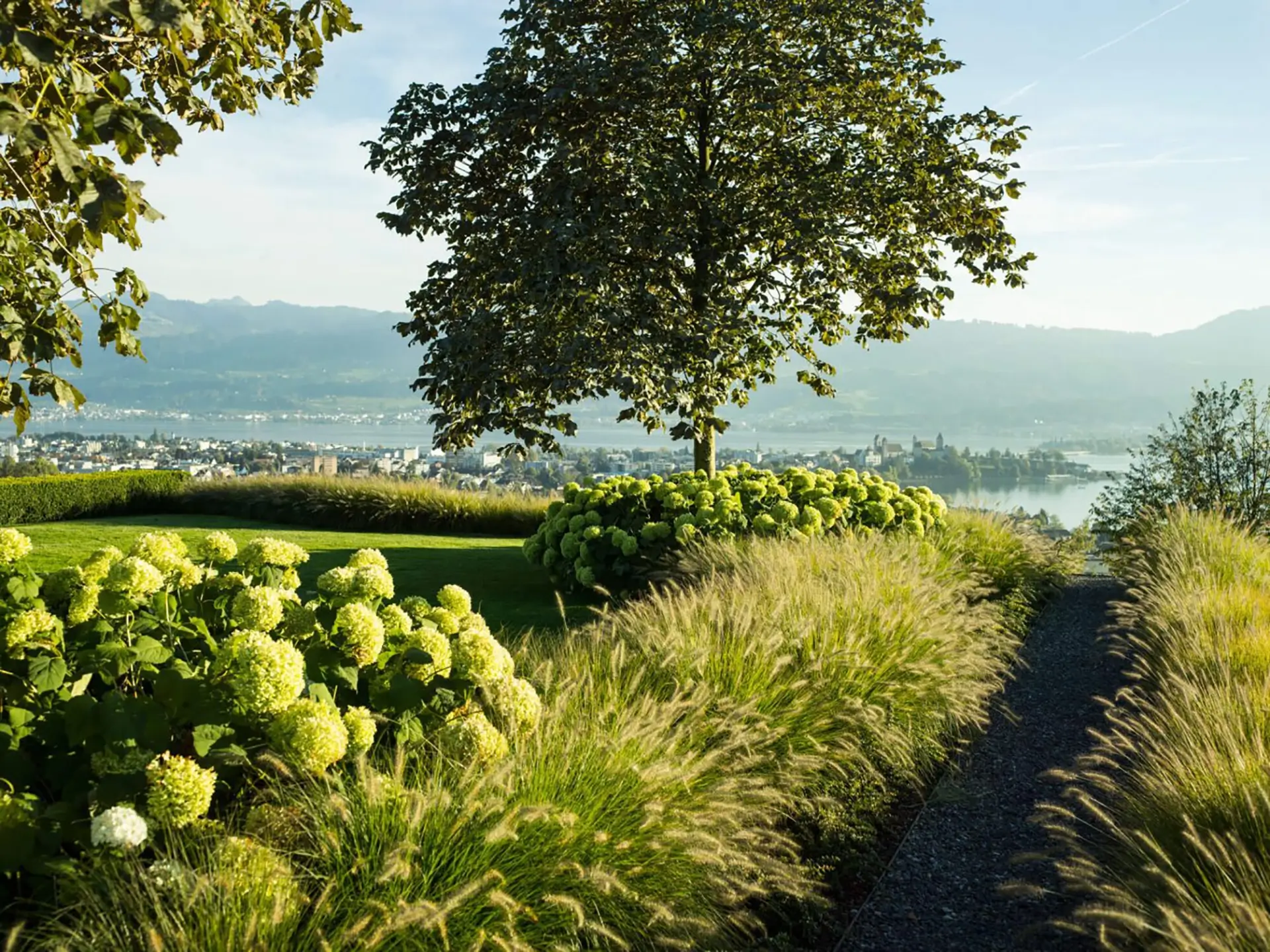 Idyllische Gartenanlage mit Bäumen, Gräsern und Blumen.