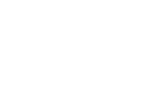 NIKE SB