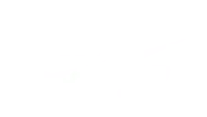 NIKE SB spokojeny klient reference