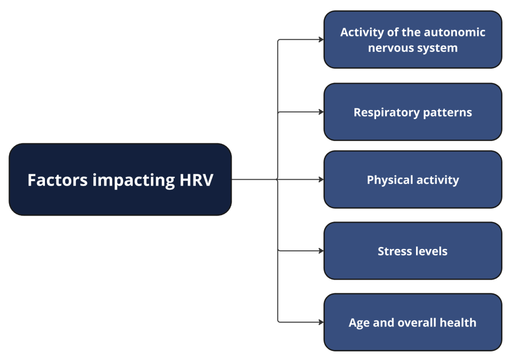 Factors impacting HRV visualized
