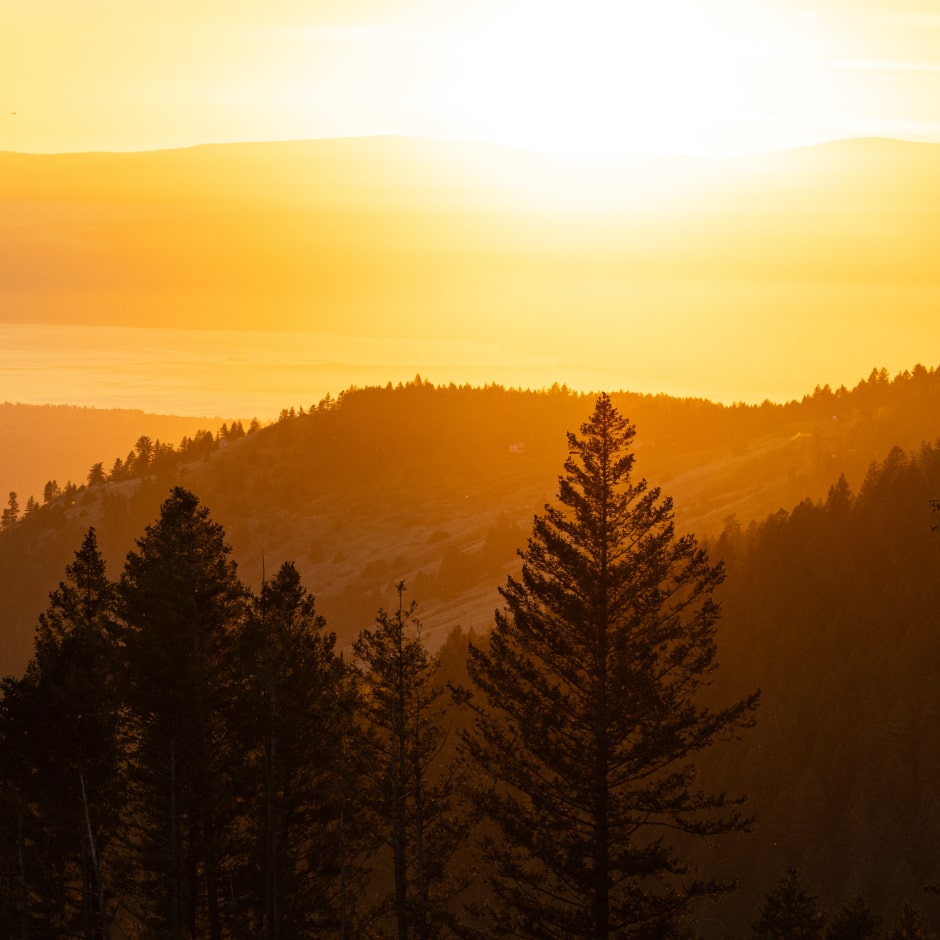 Sunset over pine-covered hills