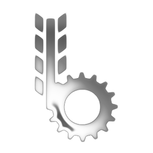 Basak в лізинг