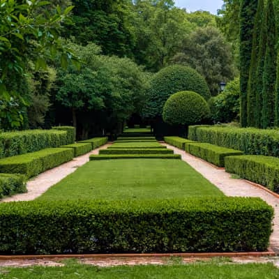Instagram Image - Landscaping X Webflow Template
