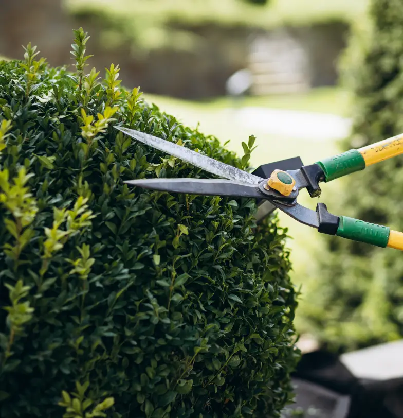 Entretien de jardin