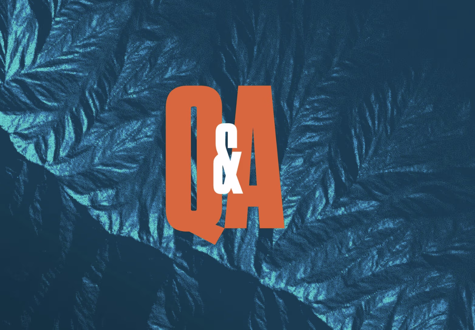 How premium publishers rebuild growth in the post-organic web