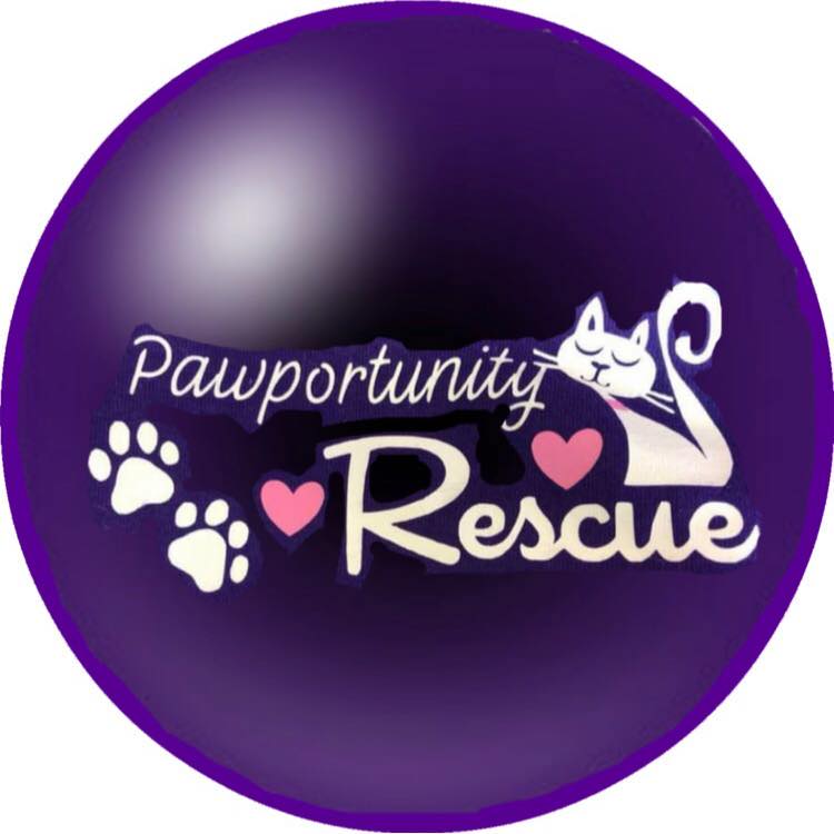 PawPortunity Rescue