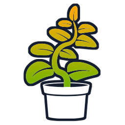 Mentorship and Employee Growth