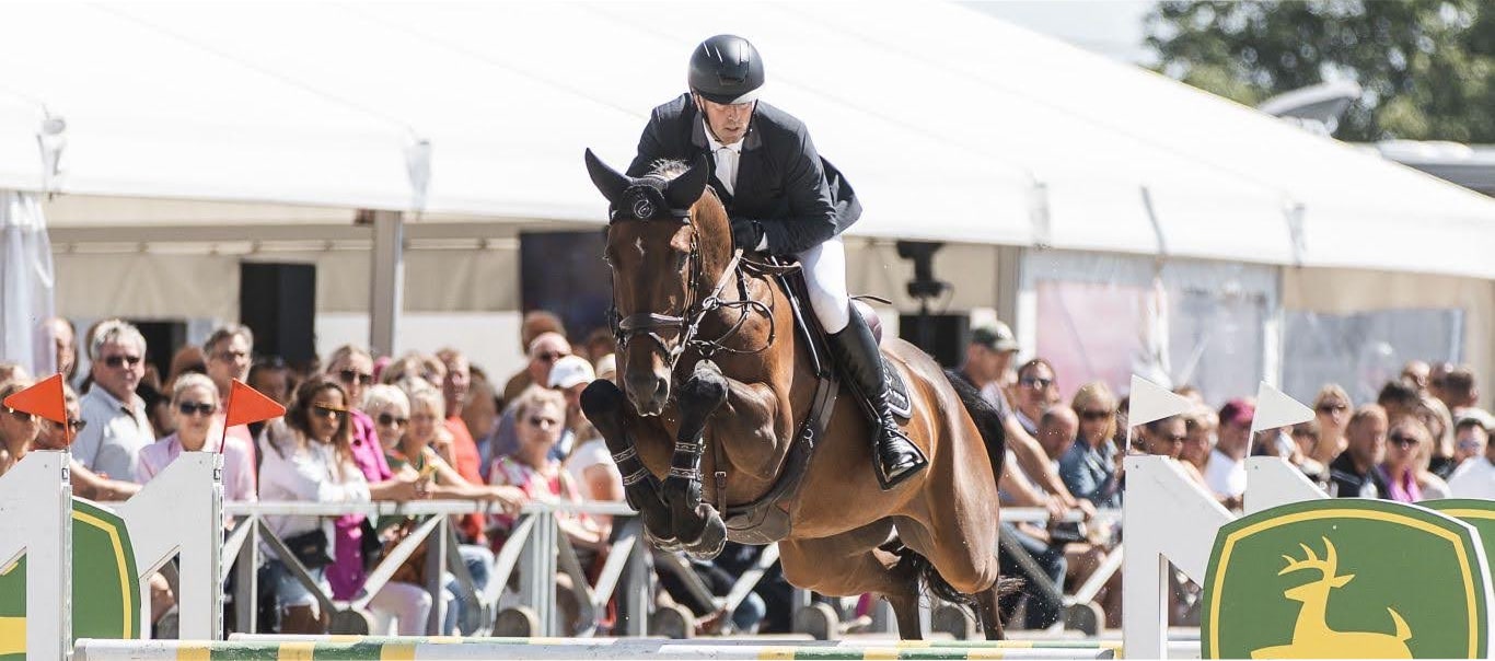 Nieuw in onze stal: El Capone van het Horzelend Z 🐎