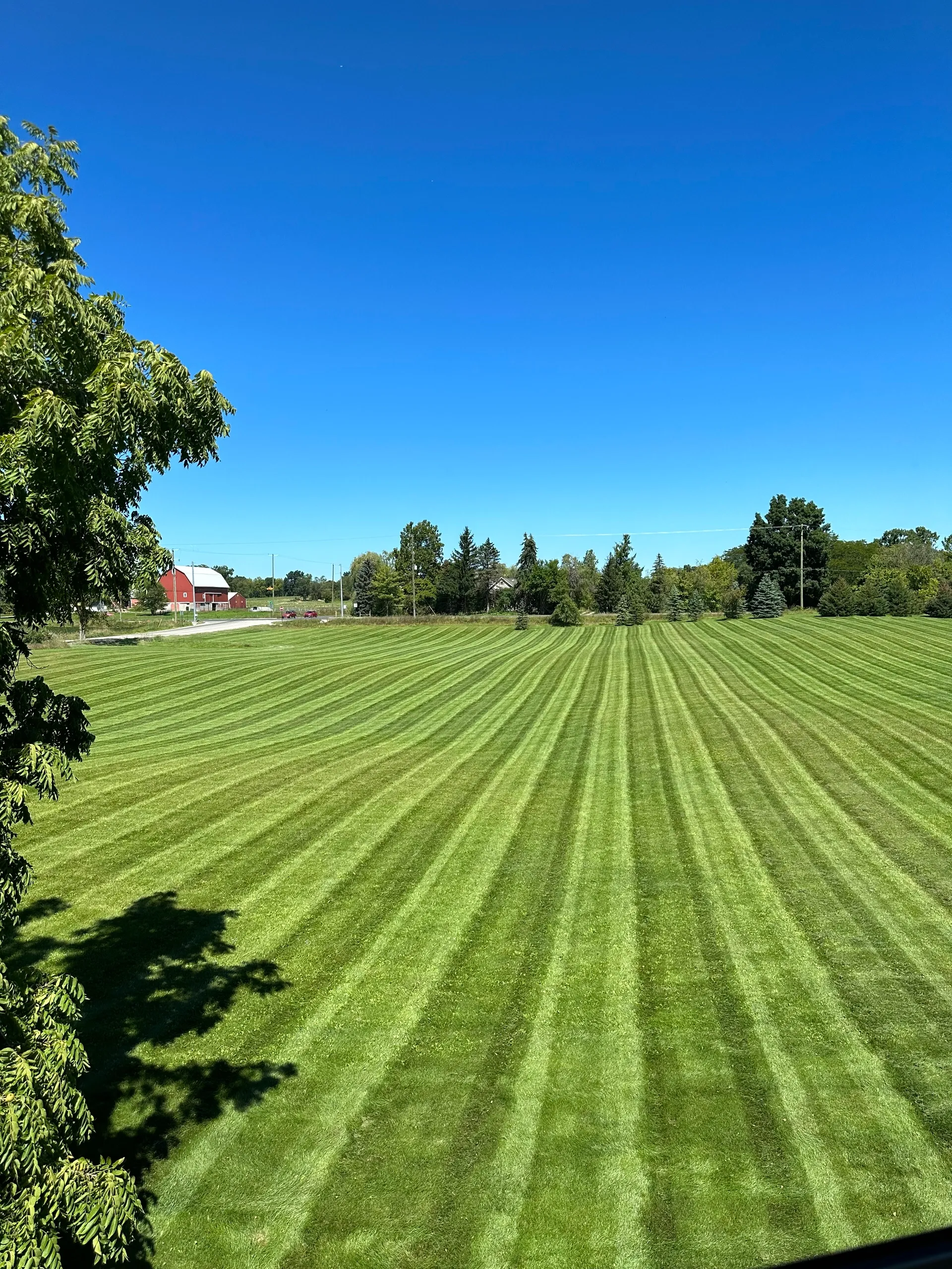 Large commercial property lawn mowing with perfect striping patterns by Jake's Lawn Care Michigan