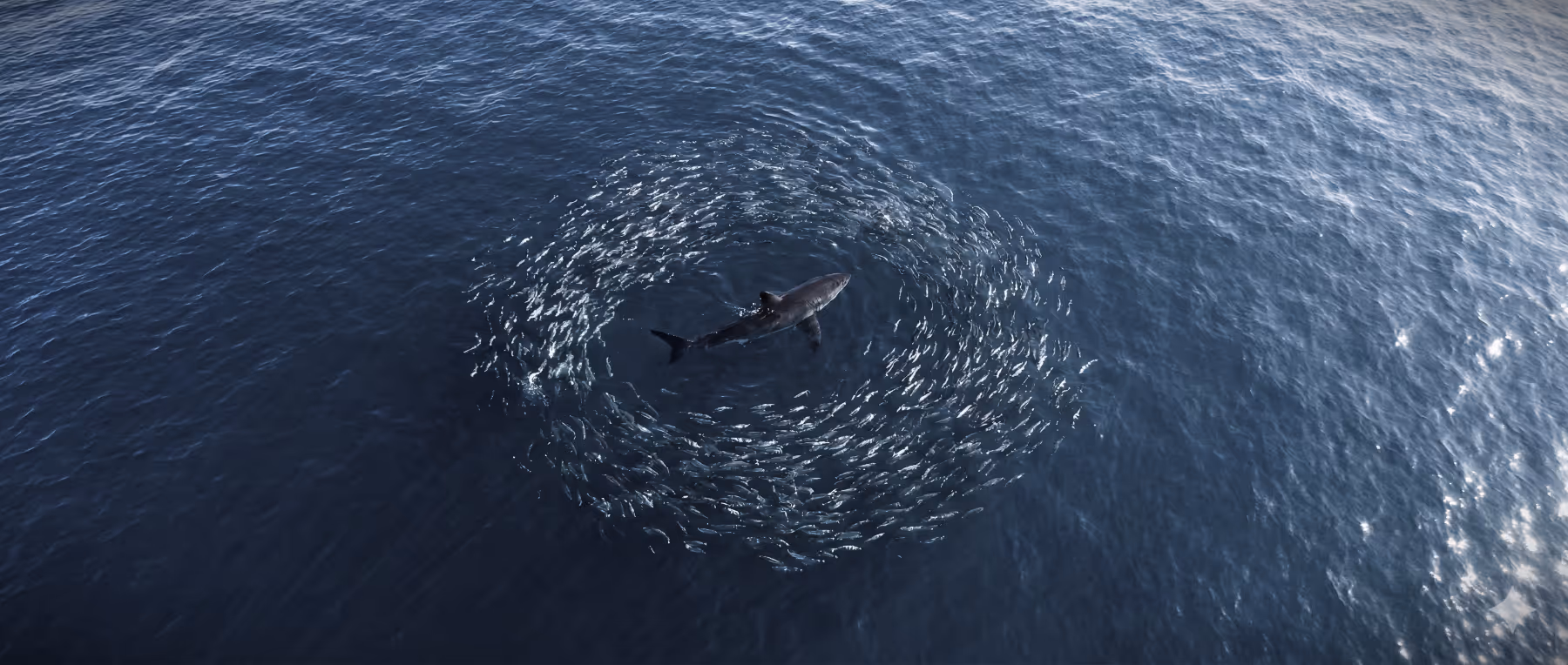 Wondering why your leads are being rejected? Learn why narrowing your broad Target Group to a high-intent ICP is the only way to fix Sales and Marketing misalignment.