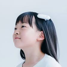 image of a main course assortment for a chinese restaurant