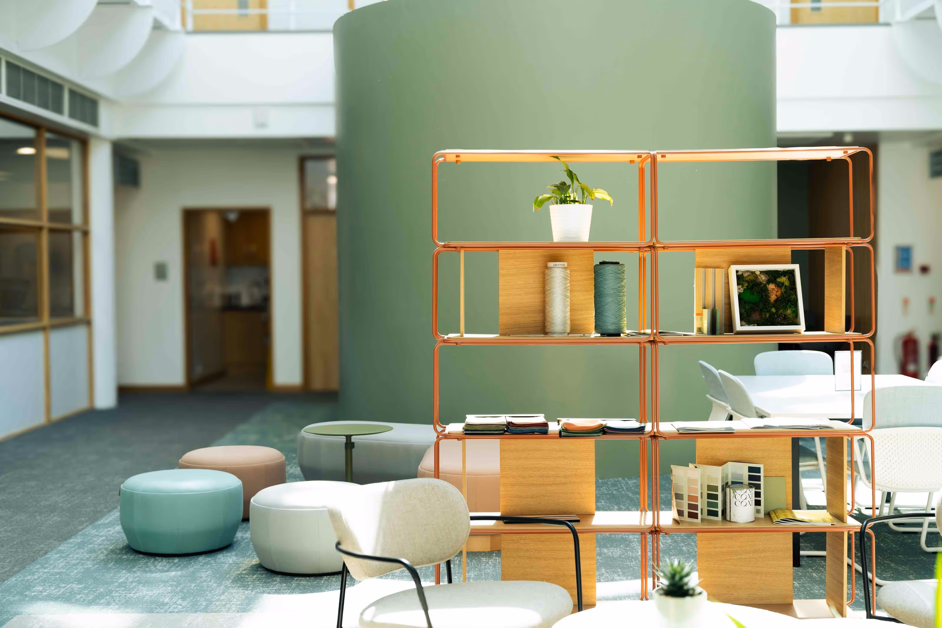 Stylish open-plan office space with modern shelving, soft seating, and natural accents.