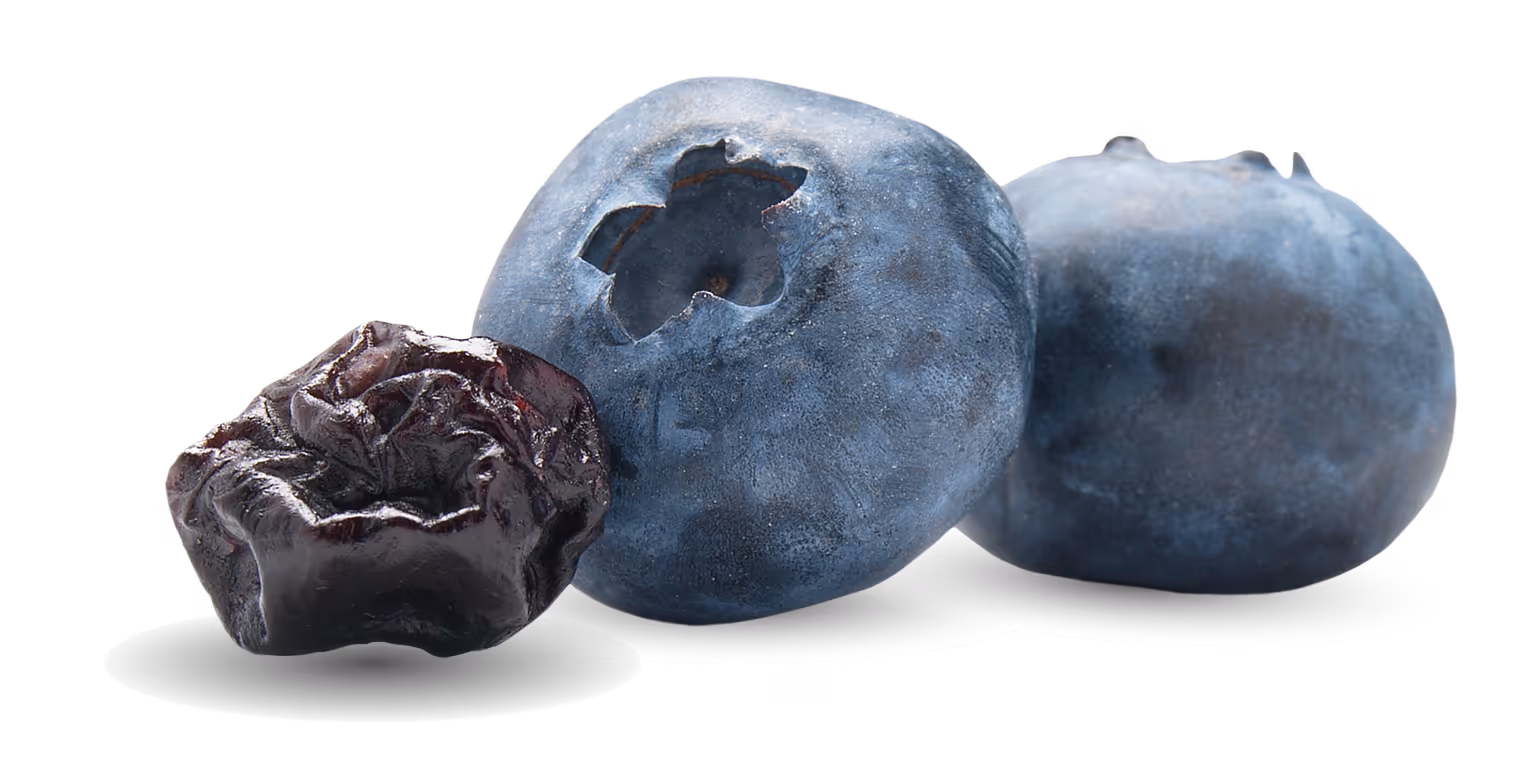 Dried blueberry and fresh blueberry