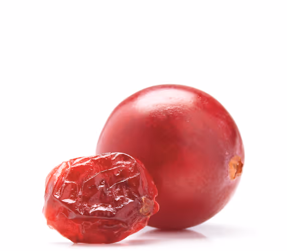 Dried cranberry next to fresh cranberry