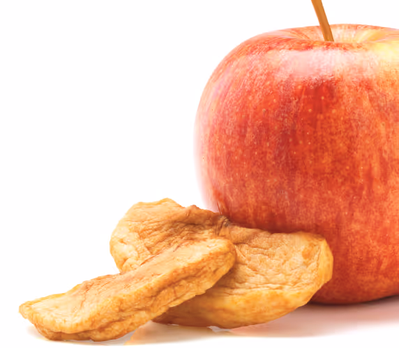Dried apples next to fresh apple