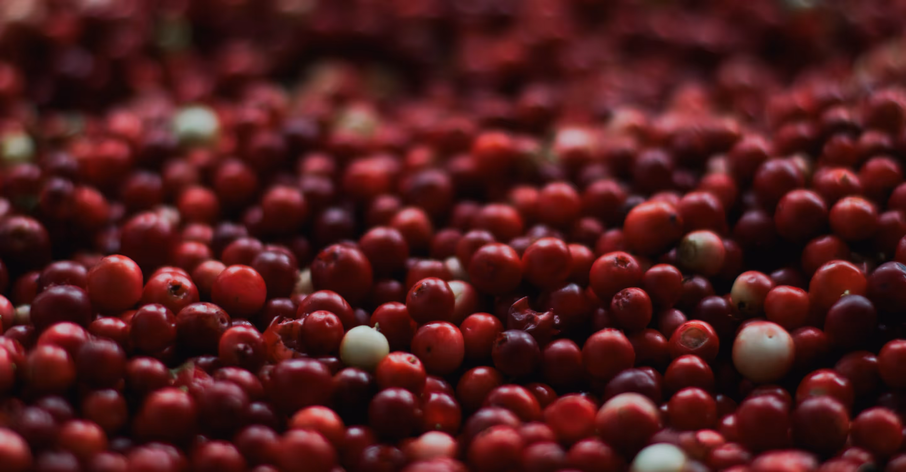 Cranberries