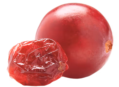 Dried cranberry next to fresh cranberry