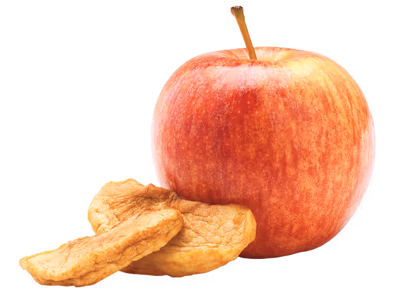 Dried apples next to fresh apple