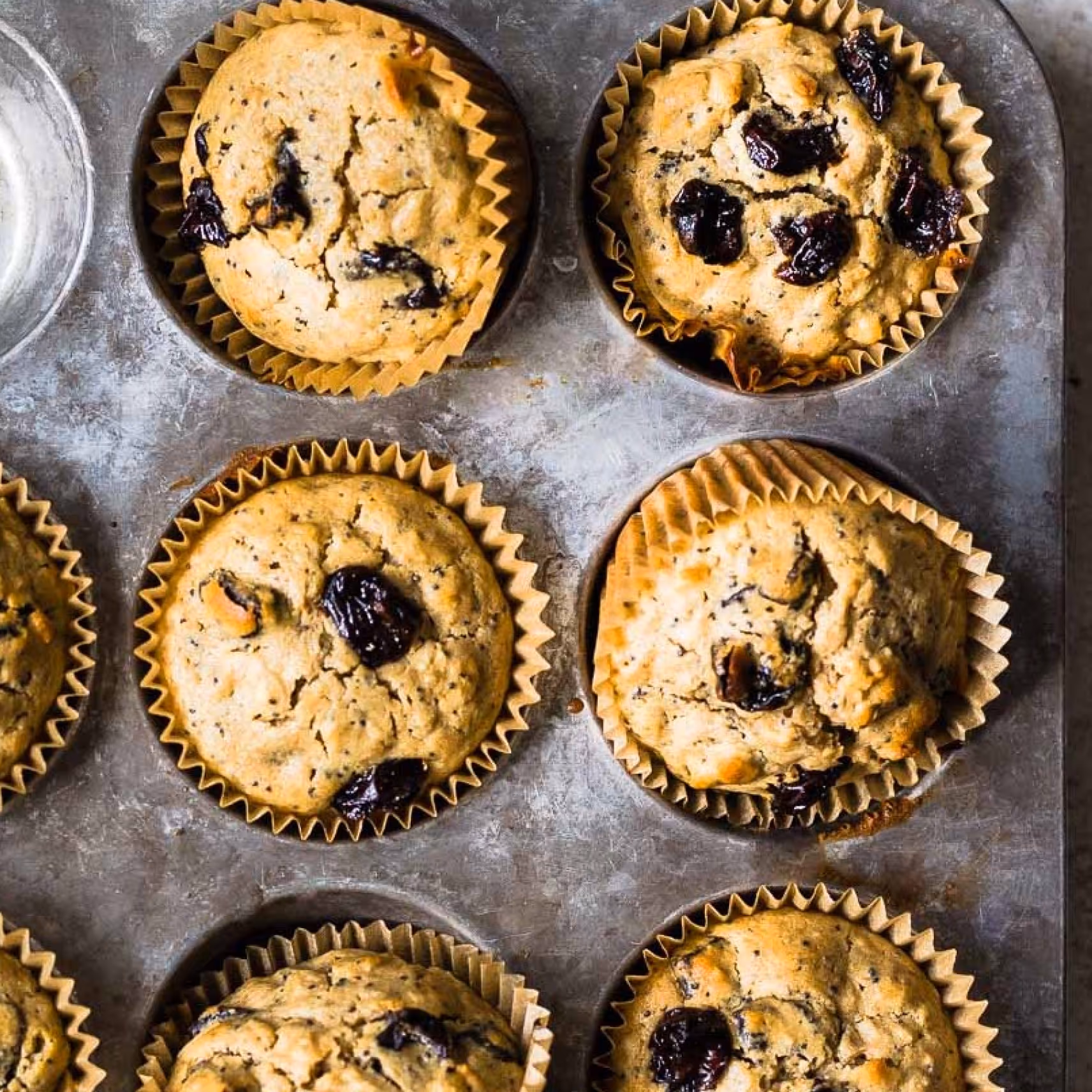 Dried blueberry muffins