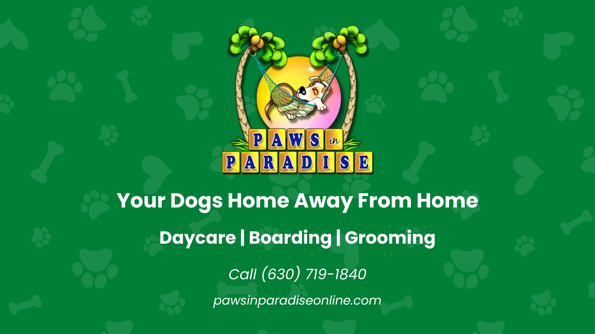 Doggy Daycare Happy Paws Stay And Play Downers Grove Dog Daycare