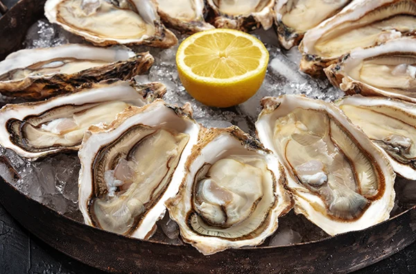 photo of a plate of oysters