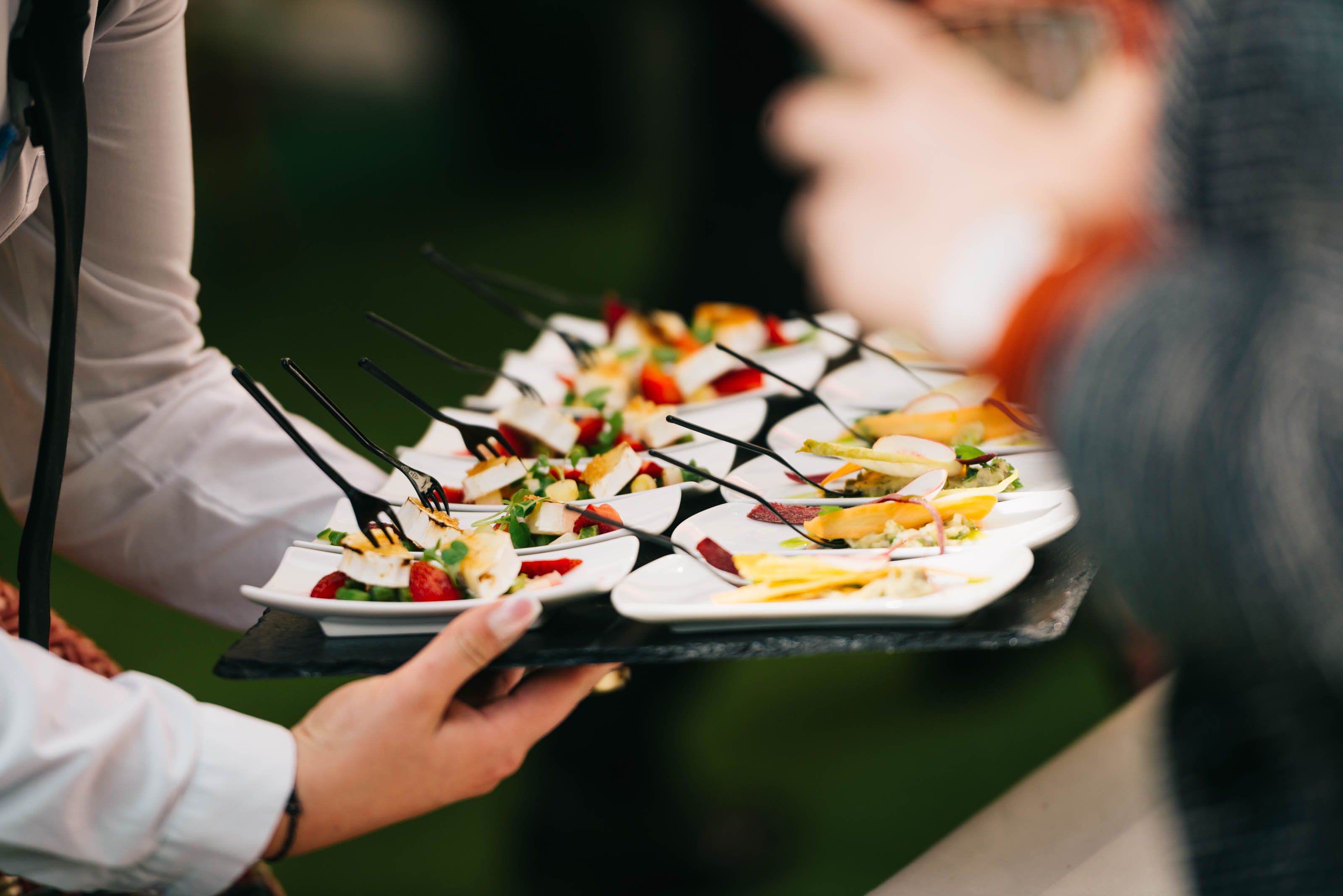 Server offering plated catered food to guests at event
