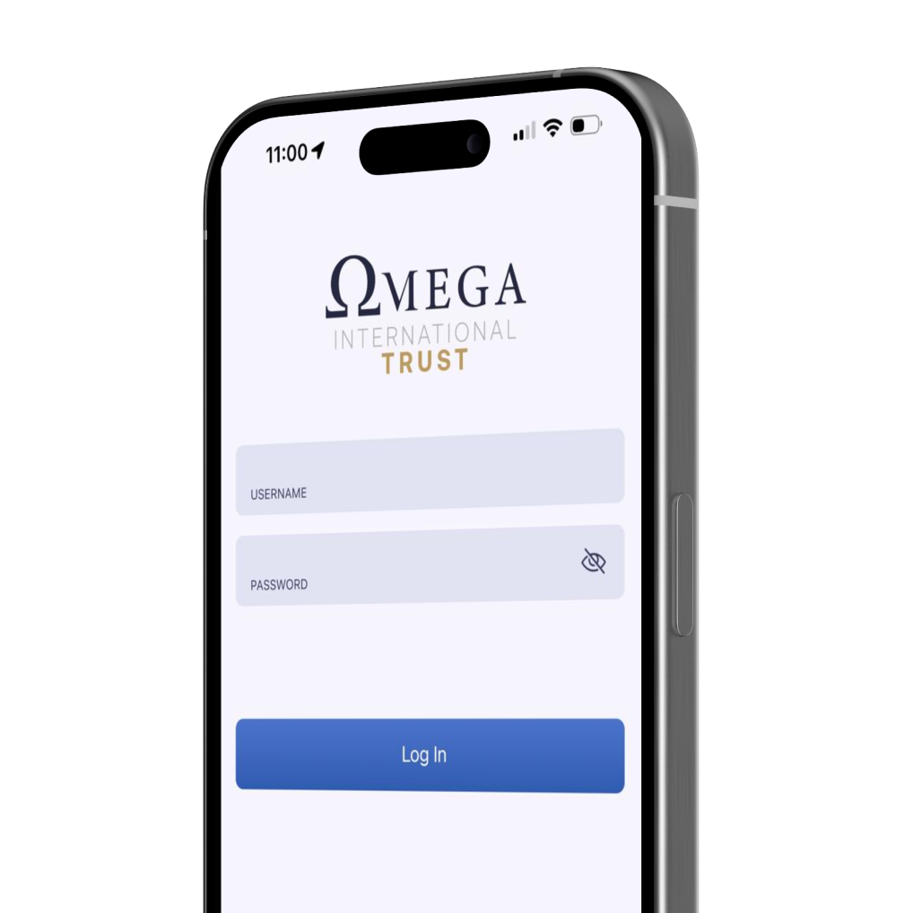 Application mockup