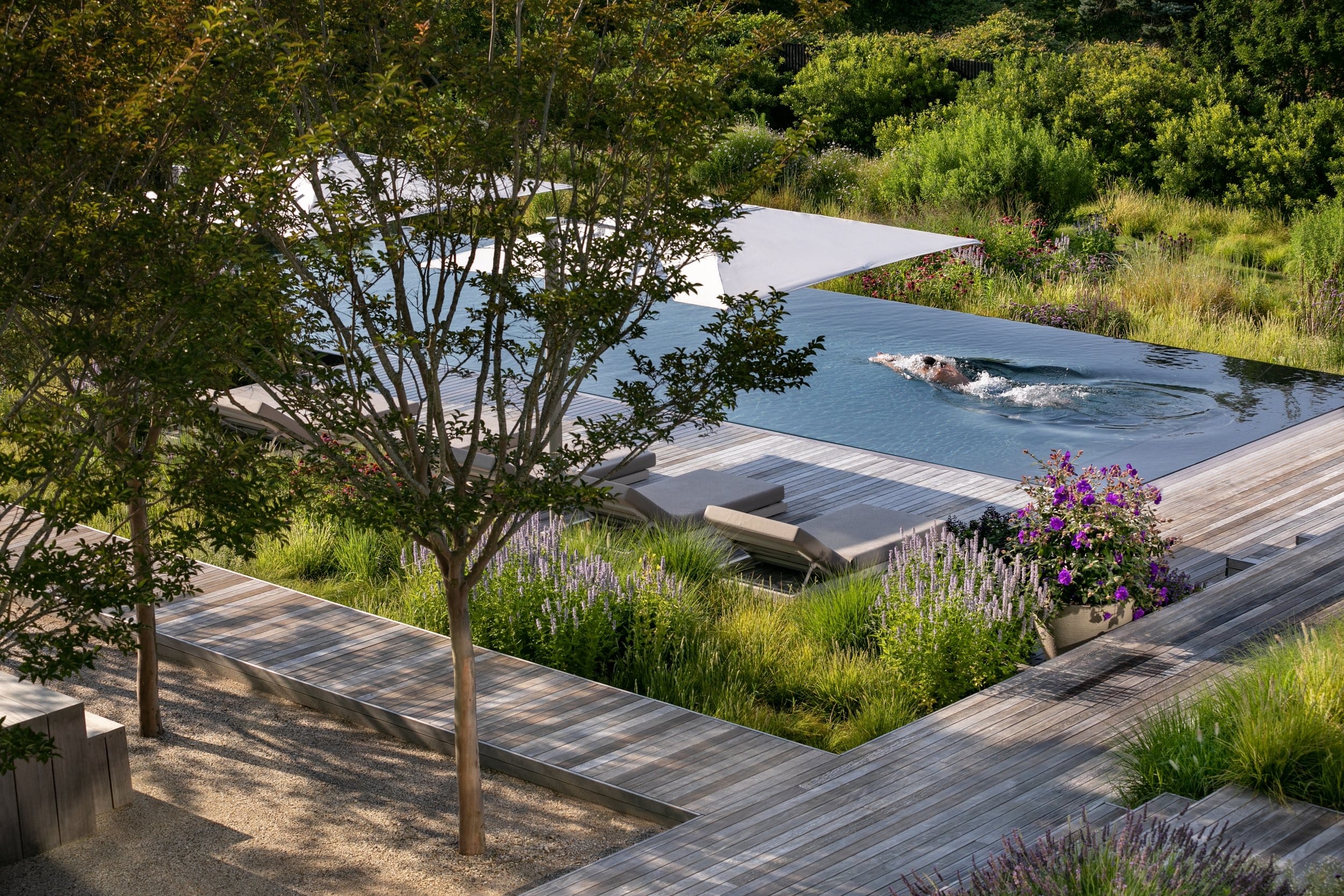 Person swimming laps in a rectangular outdoor pool surrounded by wooden decking, garden plants, and trees.