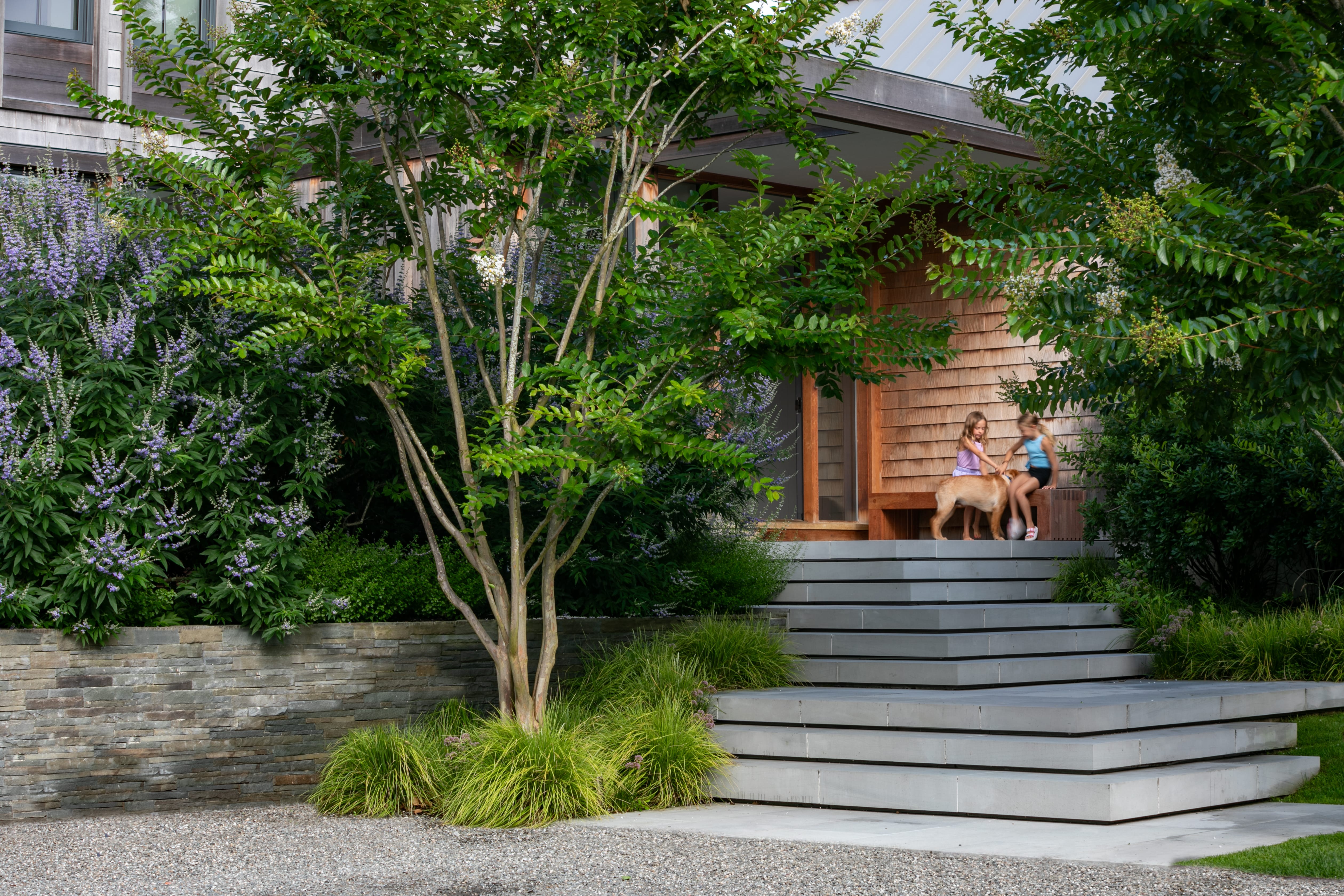 Two children playing with a dog on the steps of a wooden house entrance surrounded by green plants and purple flowers.