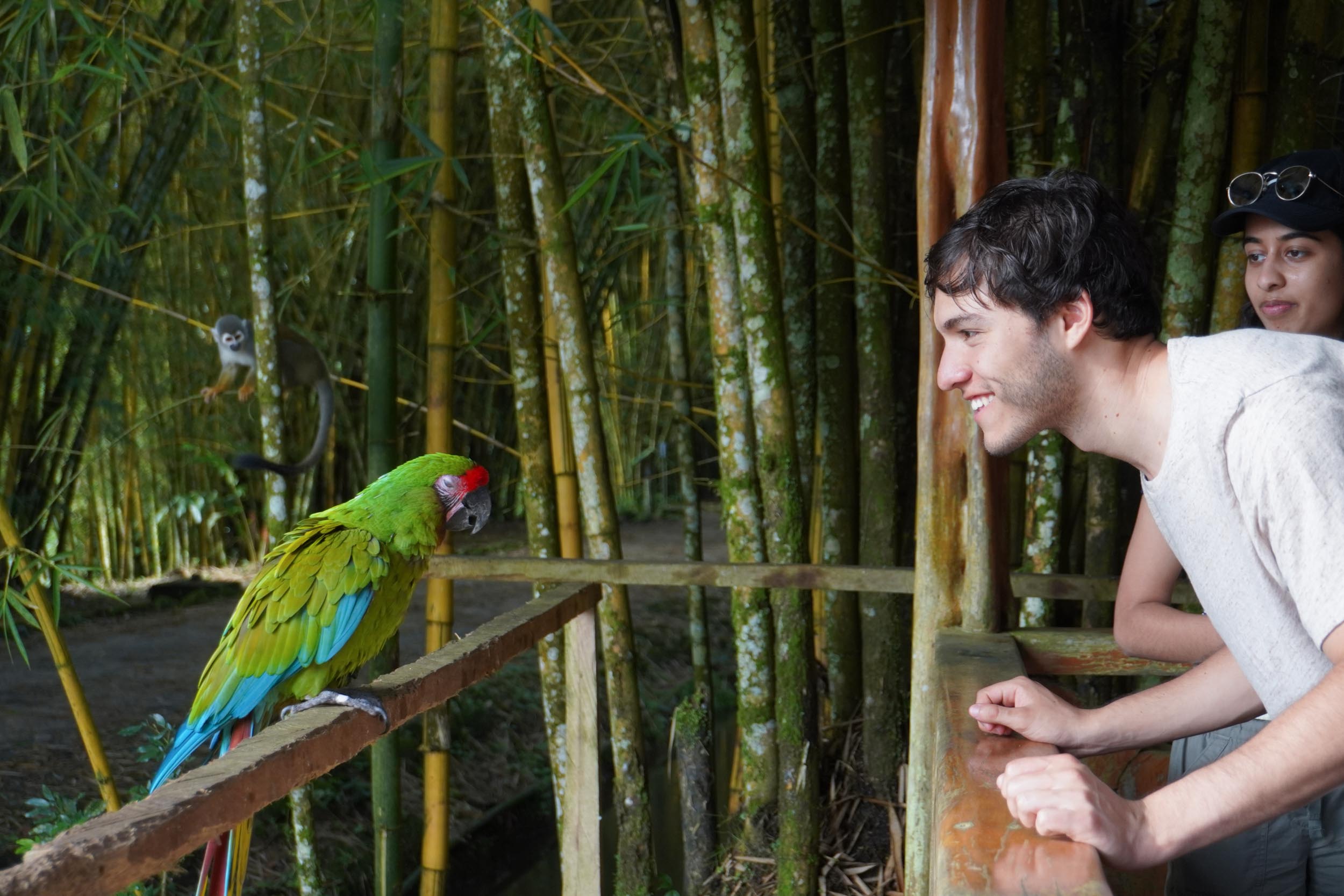 Animal Rescue Center. Amazon Tour from Baños
