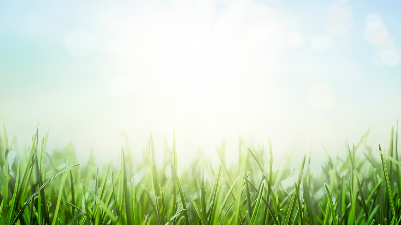 Spring Into Fitness: How to Build Momentum That Lasts All Year