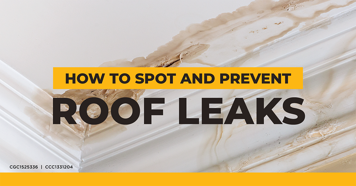 How to Spot and Prevent Roof Leaks, Tallahassee, Florida