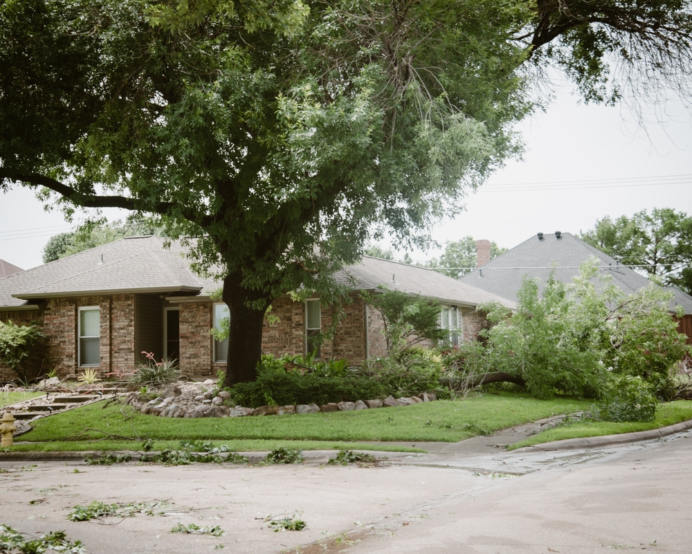 How to Protect Your Home from Wind Damage: Essential Tips for Homeowners